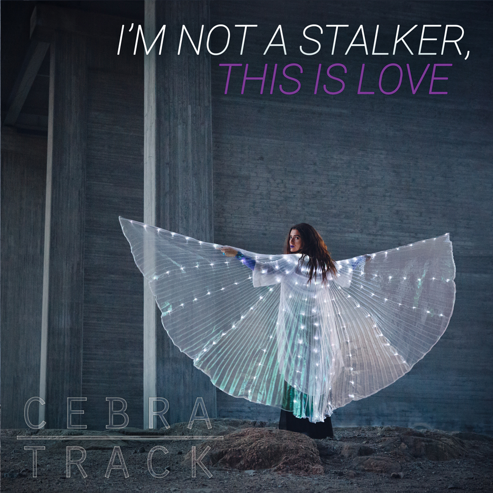 I'm Not a Stalker, This is Love Cover