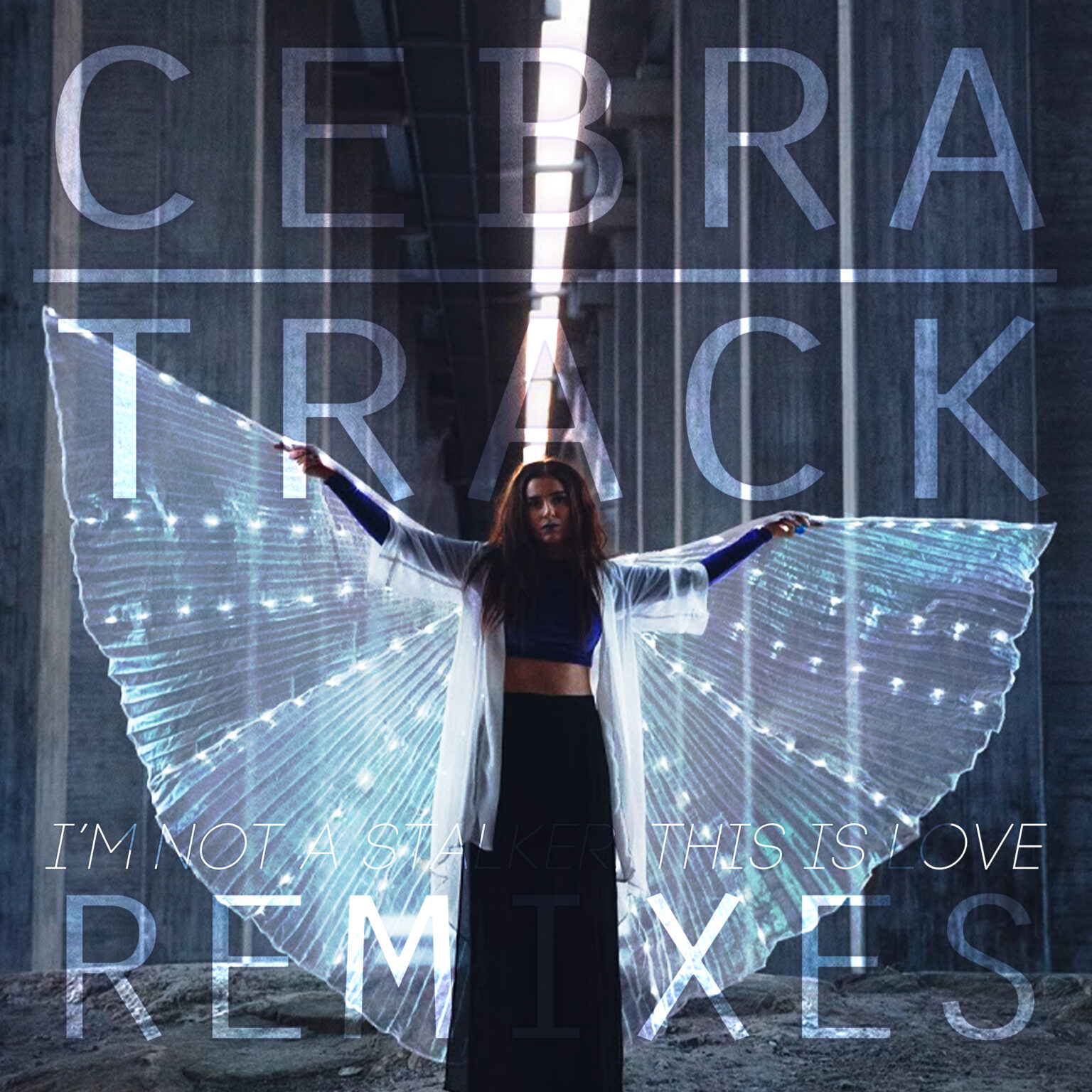 I'm Not a Stalker, This is Love REMIXES Cover